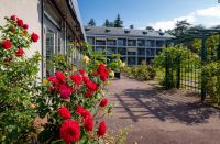 photo de l'annonce I-3554156 Appartement