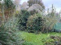 photo de l'annonce I-3554347 Maison / Villa