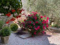 photo de l'annonce I-3559612 Maison / Villa