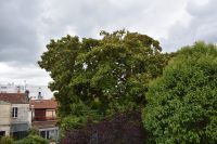 photo de l'annonce I-3556885 Maison / Villa