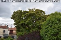 photo de l'annonce I-3556885 Maison / Villa