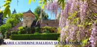 photo de l'annonce I-3525280 Prestige