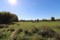 photo de l'annonce I-3558671 Prestige