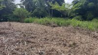 photo de l'annonce I-3537804 Terrain