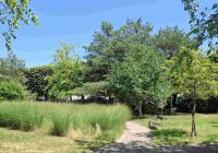 photo de l'annonce I-3553688 Appartement