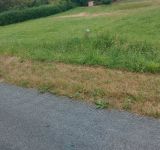 Terrain