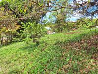 Terrain