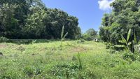 Terrain