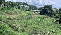 Terrain