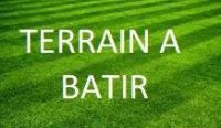 Terrain