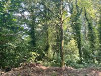 photo de l'annonce I-3521613 Terrain