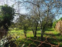 photo de l'annonce I-3526561 Terrain