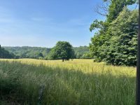 photo de l'annonce I-3532454 Terrain
