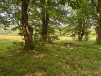 photo de l'annonce I-3532454 Terrain