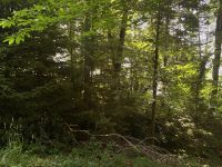 photo de l'annonce I-3532454 Terrain