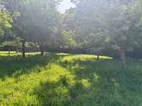 Terrain