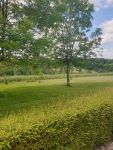 photo de l'annonce I-3534869 Prestige