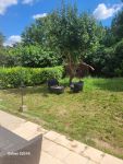 photo de l'annonce I-3543289 Maison / Villa
