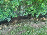 photo de l'annonce I-3534240 Terrain