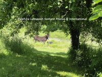 photo de l'annonce I-3557204 Maison / Villa