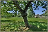 photo de l'annonce I-3559822 Terrain