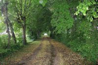 photo de l'annonce I-3533583 Terrain