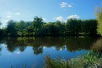 photo de l'annonce I-3560037 Prestige