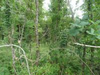 photo de l'annonce I-3558837 Terrain