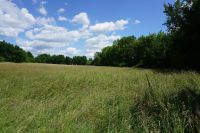 Terrain