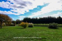 photo de l'annonce I-3559362 Prestige