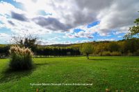 photo de l'annonce I-3559362 Prestige