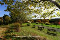 photo de l'annonce I-3559362 Prestige