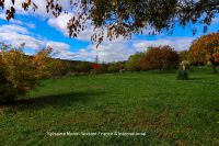 photo de l'annonce I-3559362 Prestige