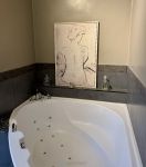 photo de l'annonce I-3522136 Appartement