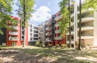 T2 42m²