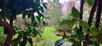 photo de l'annonce I-3518631 Appartement