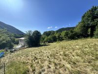 Terrain