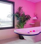 photo de l'annonce I-3552583 Appartement