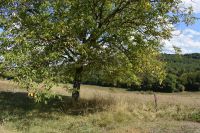 photo de l'annonce I-3524728 Grange, corps de ferme
