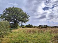 photo de l'annonce I-3558632 Maison / Villa