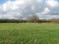 photo de l'annonce I-3558632 Maison / Villa