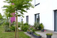 photo de l'annonce I-3539597 Appartement