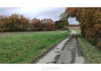 Terrain