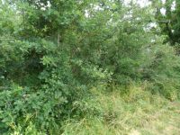 photo de l'annonce I-3525504 Terrain