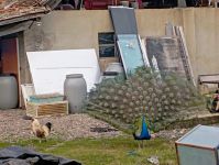 photo de l'annonce I-3553771 Maison / Villa