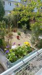 photo de l'annonce I-3524656 Appartement