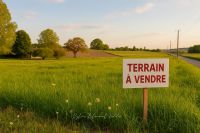 Terrain