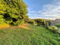 photo de l'annonce I-3558290 Maison / Villa