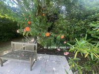 photo de l'annonce I-3553824 Prestige