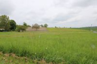 Terrain